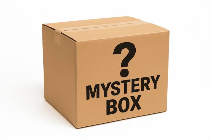 CC-MYSTERY-BOX-MAKER CRICUT CONSUMABLES MYSTERY BOX - INCLUDES A CUTIE! - Image 1