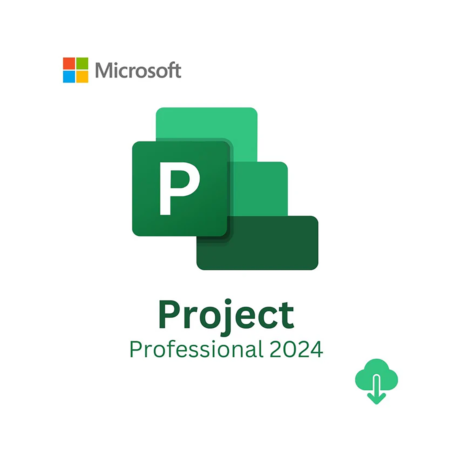 EP2_07001_cb09 Microsoft Project Pro 2024 ESD Lifetime License - Image 1
