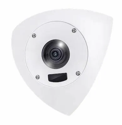Indoor/Outdoor Corner 5MP Dome AI Camera; 10M IR; Mic; Anti-Ligature Design